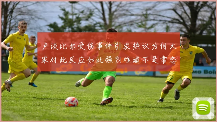 卢谈比尔受伤事件引发热议为何大家对此反应如此强烈难道不是常态吗