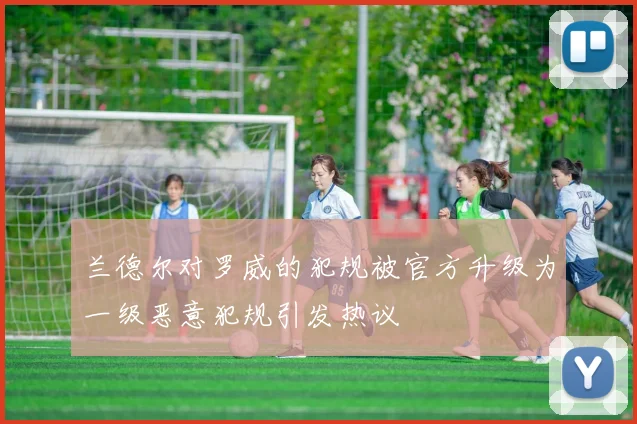 兰德尔对罗威的犯规被官方升级为一级恶意犯规引发热议