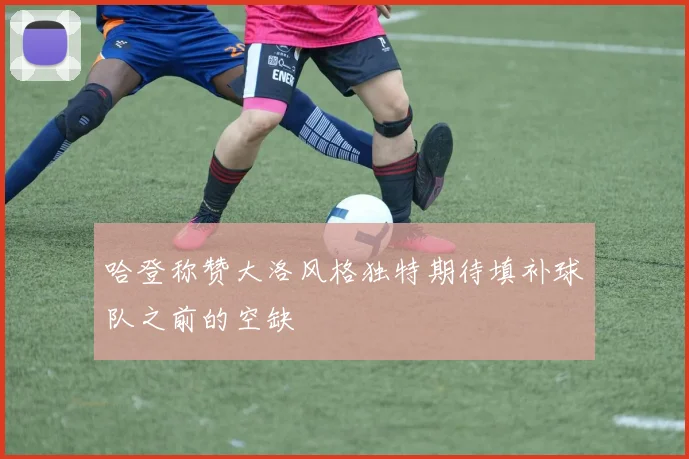 哈登称赞大洛风格独特期待填补球队之前的空缺