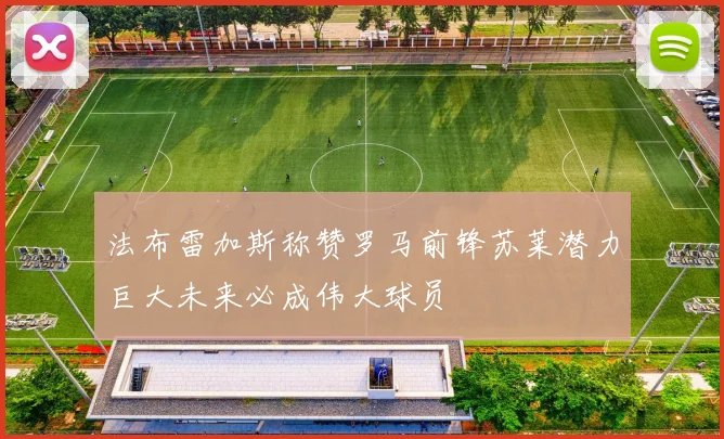 法布雷加斯称赞罗马前锋苏莱潜力巨大未来必成伟大球员